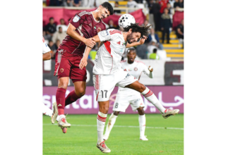 wp header logo17716356241195709925