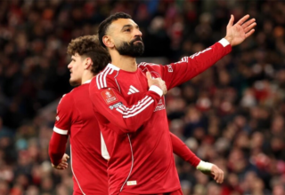 wp header logo17716536111850593168