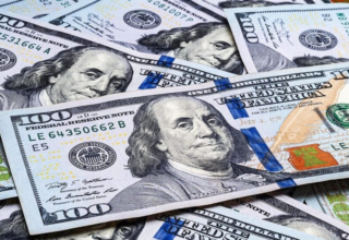 wp header logo1771664410564452457