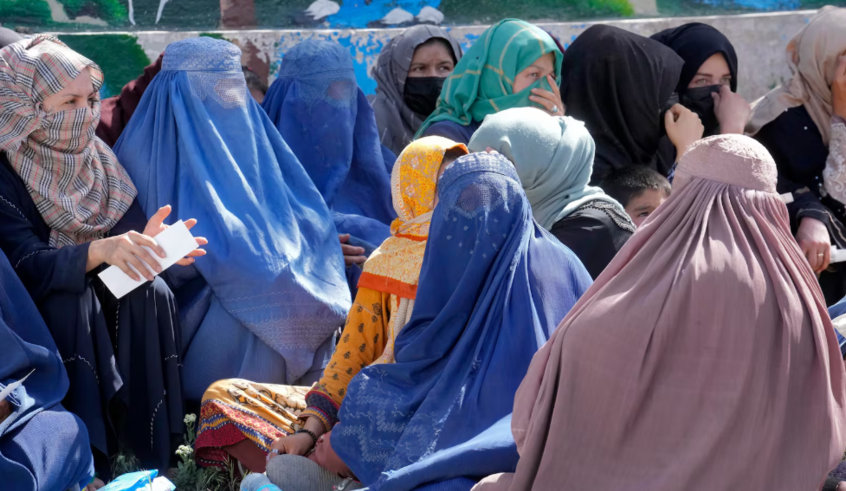 wp header logo17716644251436860113