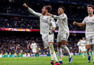 wp header logo17716680472027733371