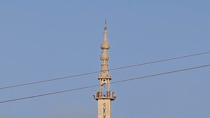 wp header logo177167160859827427