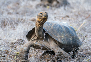 wp header logo1771675208891563835