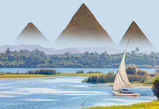 wp header logo17716752111299358016