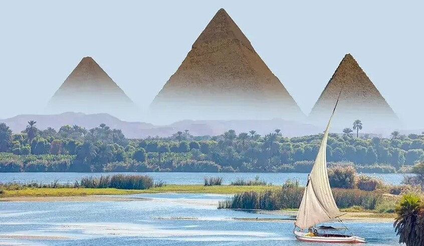 wp header logo17716752111299358016