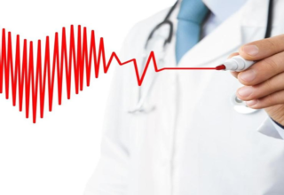 wp header logo1771675223217669887