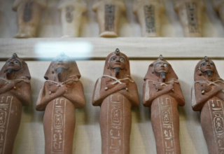 wp header logo17716860091045990736