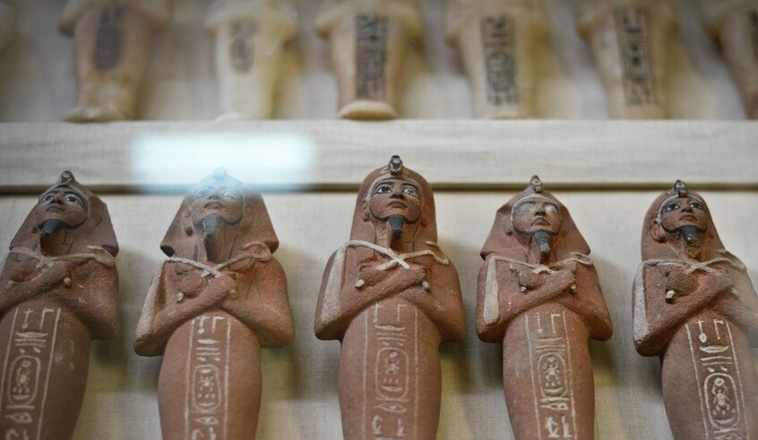 wp header logo17716860091045990736