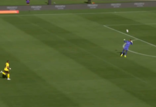 wp header logo17716860381369051043