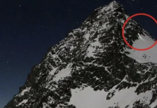 wp header logo1771693208303727820