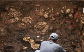 wp header logo1771696807704432173