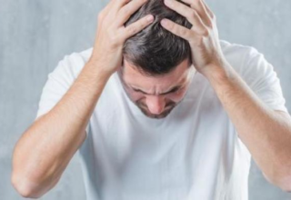 wp header logo17717004081620505818