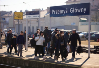 wp header logo1771704092664483436