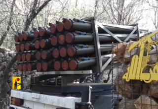 wp header logo17717076291687222432