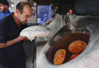 wp header logo1771722012704636662