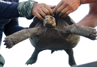 wp header logo17717220191534036943