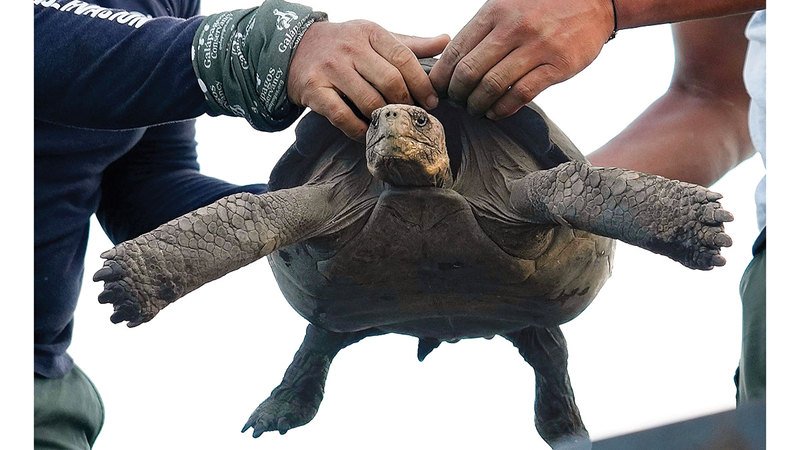 wp header logo17717220191534036943