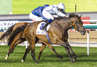 wp header logo1771722029680438041