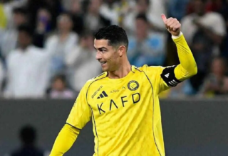 wp header logo17717580121789697994