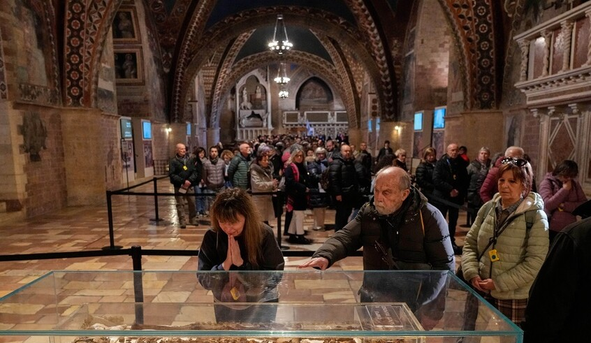 wp header logo1771772426528273269