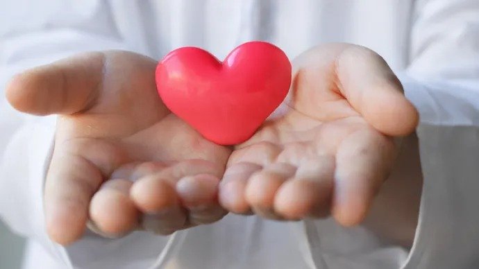 wp header logo1771776007246370307