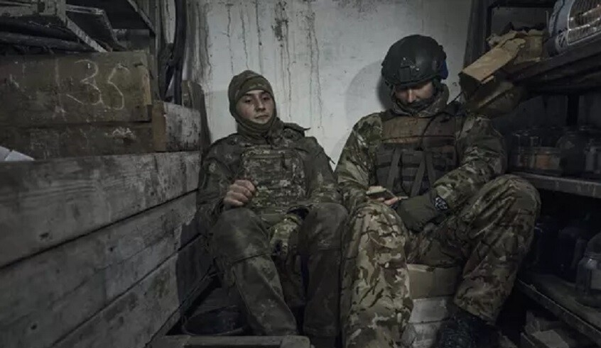 wp header logo17717760182072002389