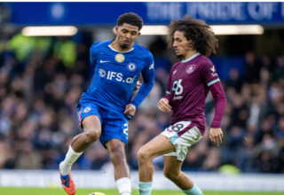 wp header logo17717796091822994499