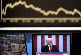 wp header logo17717868501155985192