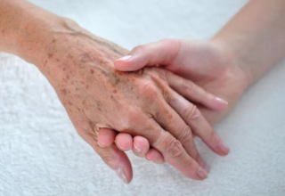 wp header logo1771794010160835460