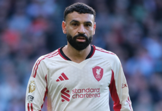 wp header logo1771797616228326562