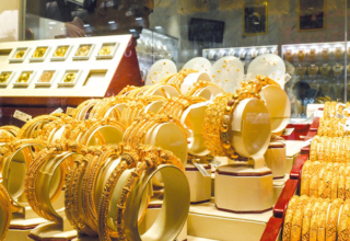 wp header logo17717976201154904548