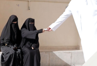 wp header logo17718048221214005318