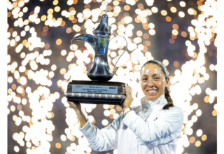 wp header logo1771808414922418665