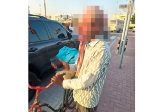 wp header logo17718084302089778529