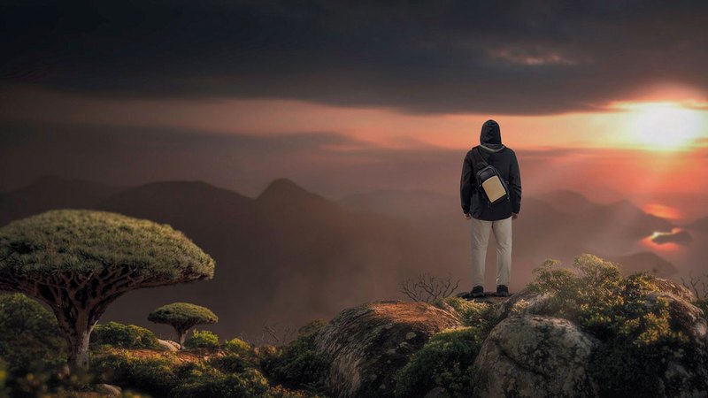 wp header logo17718084411557348348