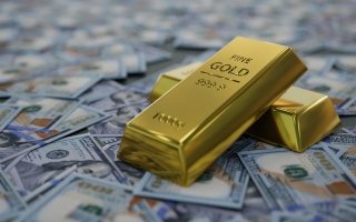 wp header logo177182280980972007