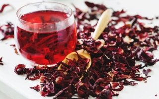 wp header logo17718300062147307979