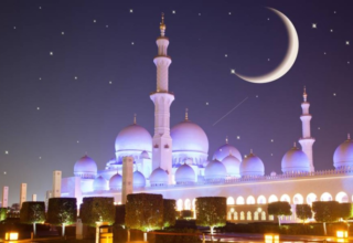 wp header logo17718300071784966660