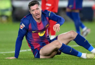 wp header logo1771833610101665995