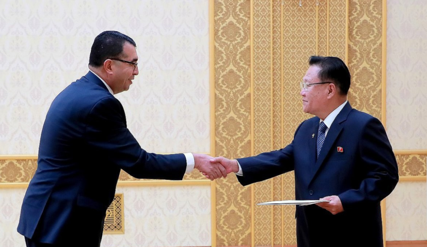 wp header logo1771833622106373562