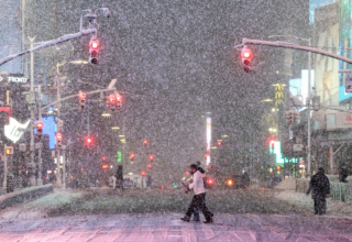 wp header logo1771840807208988096