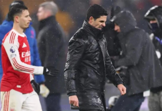 wp header logo17718408091445637943