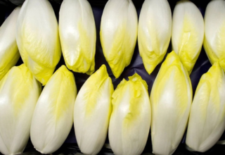 wp header logo1771851609287971659