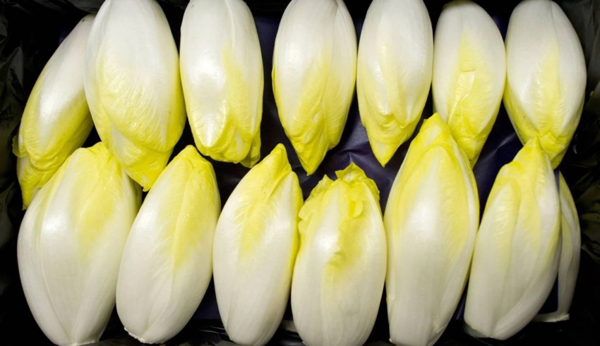 wp header logo1771851609287971659