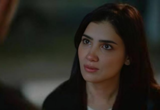 wp header logo1771862411482593324