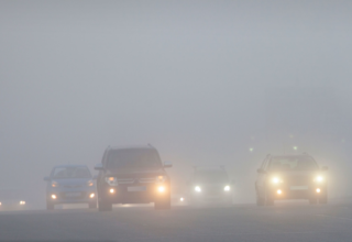 wp header logo17718660121241793563