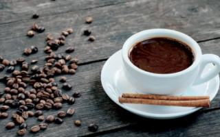 wp header logo1771869608543230442