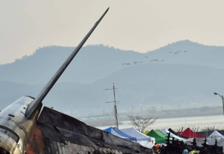 wp header logo17718696231526547582