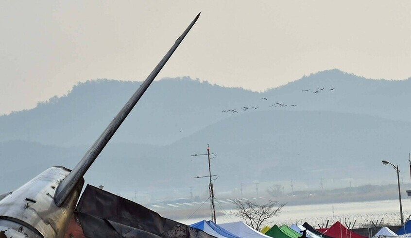 wp header logo17718696231526547582