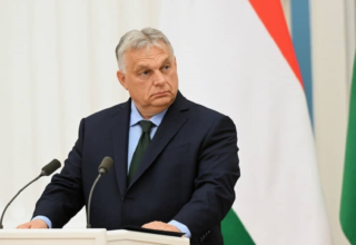 wp header logo1771880409313881755